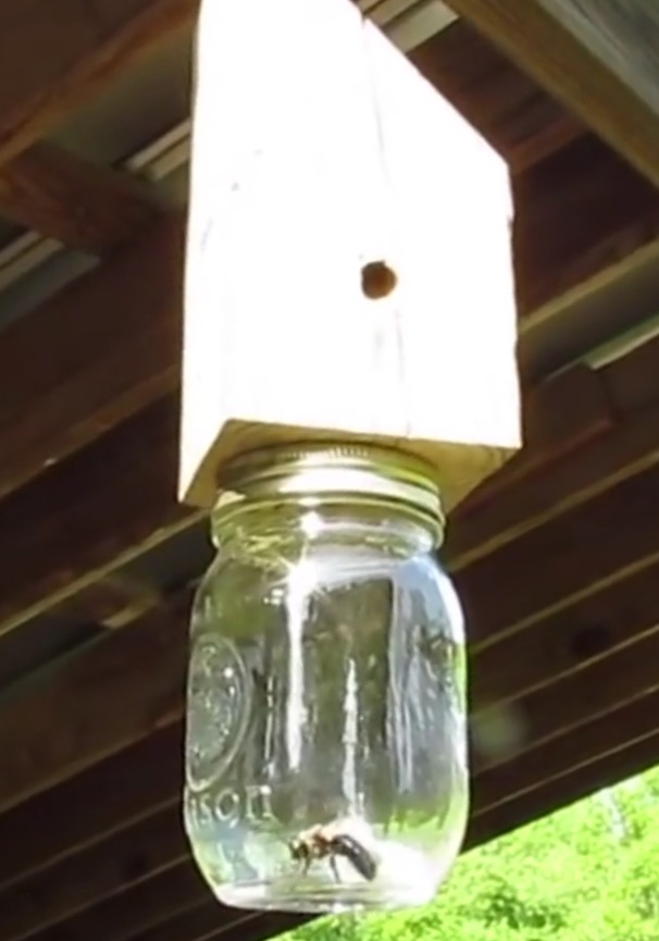 How To Make A Carpenter Bee Trap Jeff Furr